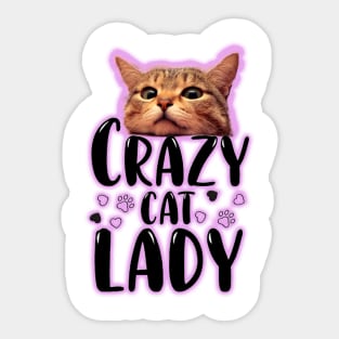 Crazy cat lady Sticker